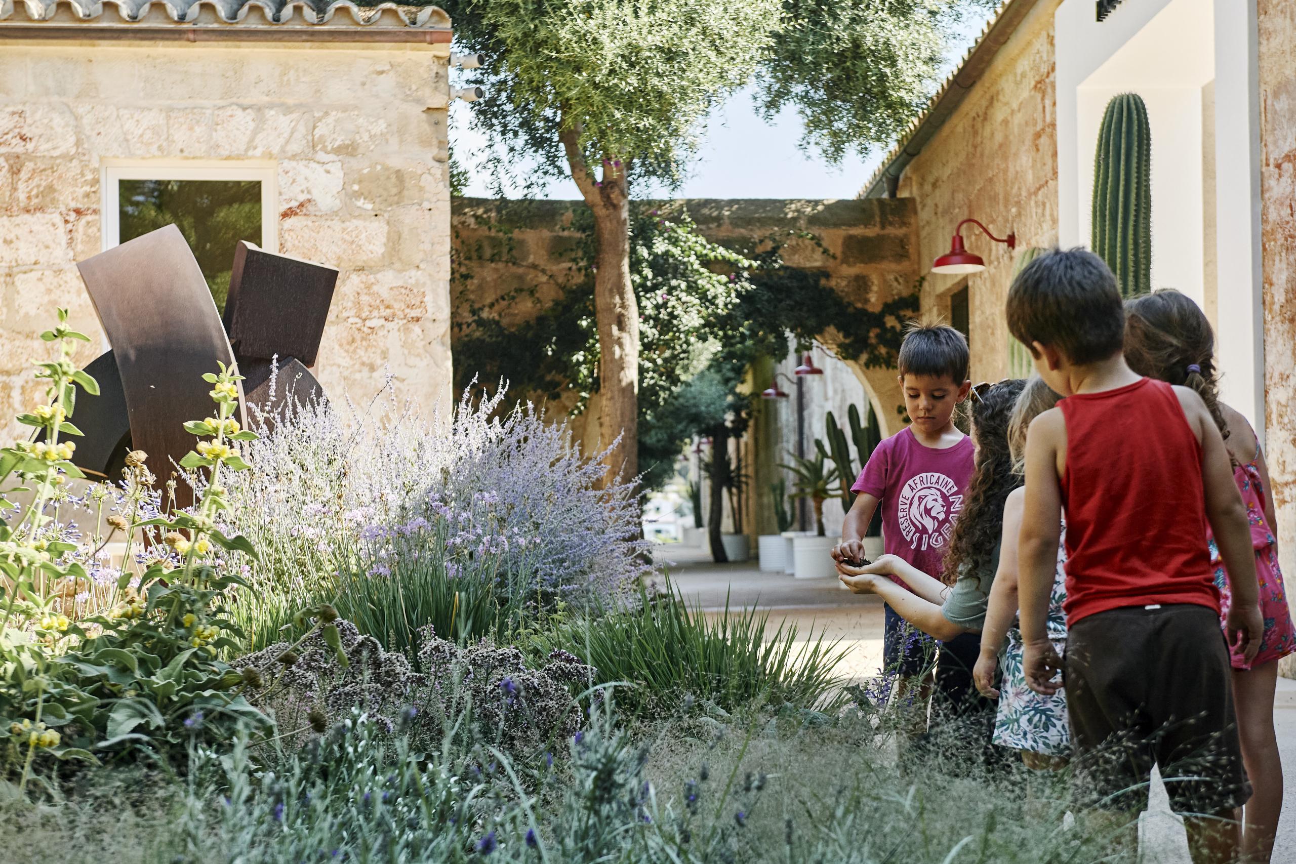 Talleres familiares 1