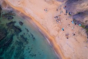 769d2921-2073-4dba-a80f-980caaa17c44