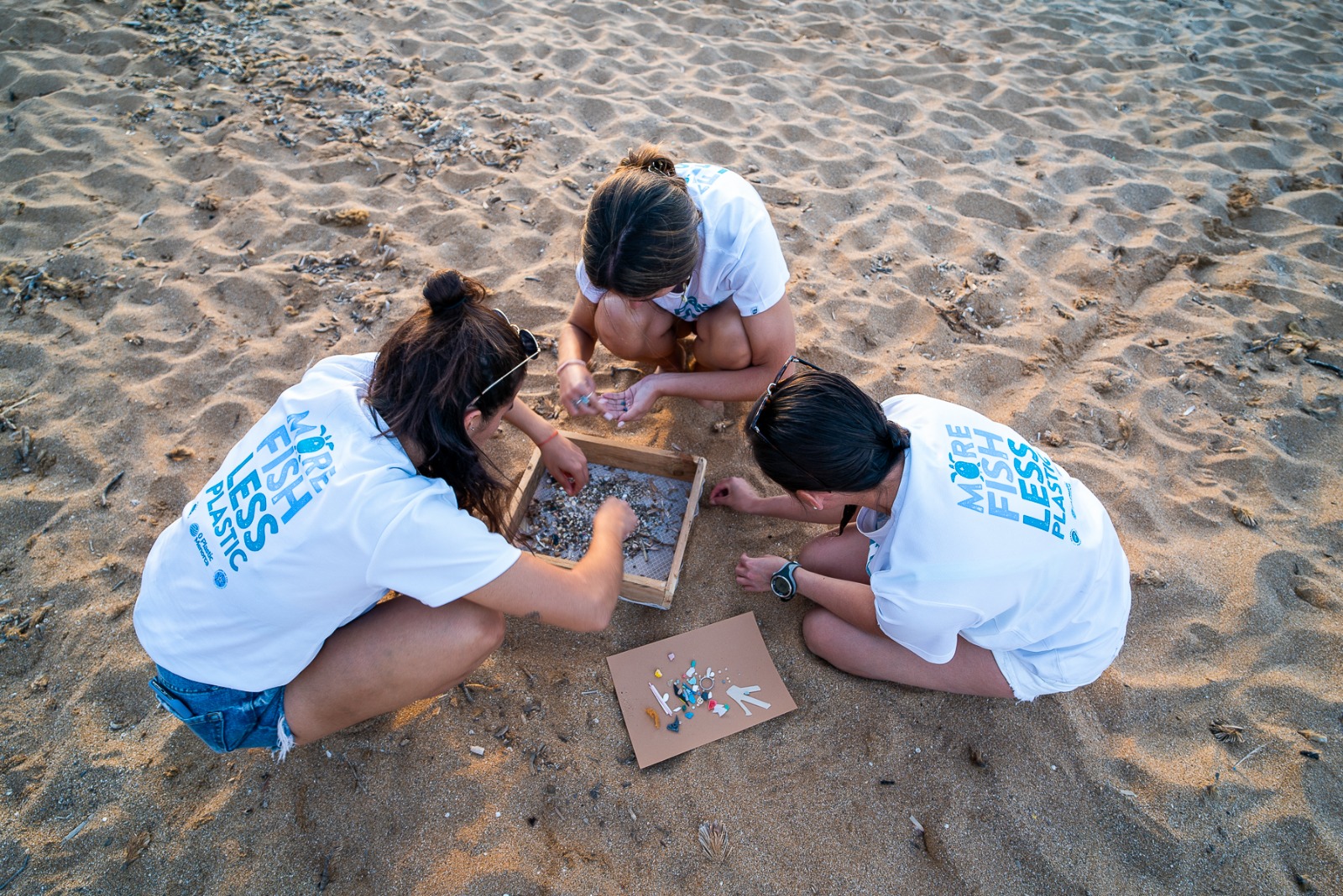 8801e27e-5d50-47fa-8d28-bb4f19c18195