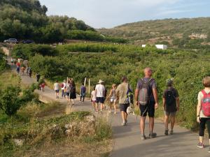 RECONEIXEMENT_Hort de Matadones_IMG_20210703_191647_889