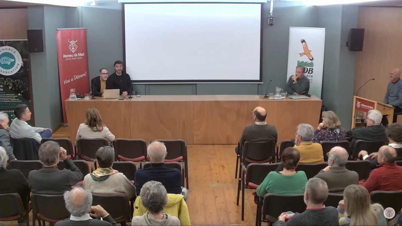 GOB Capacitat